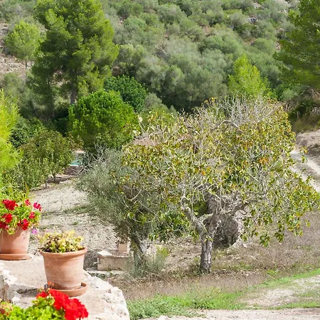 Hort De Sa Vall Villa