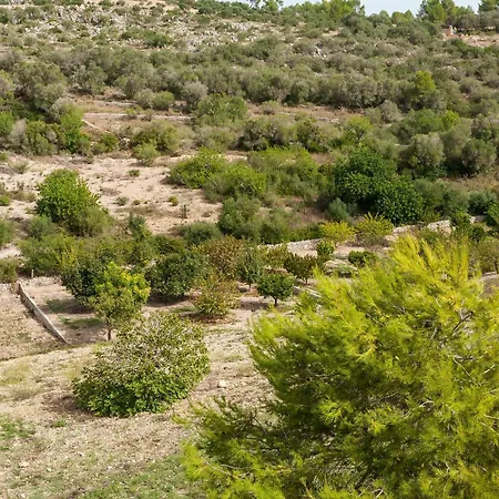 Villa Hort De Sa Vall *