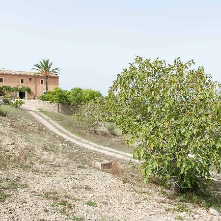 Hort De Sa Vall Villa Felanitx