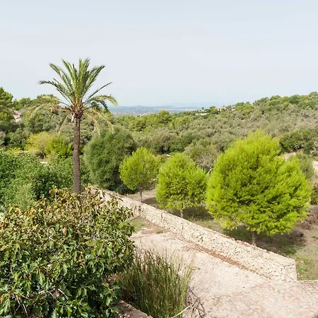 Hort De Sa Vall Felanitx